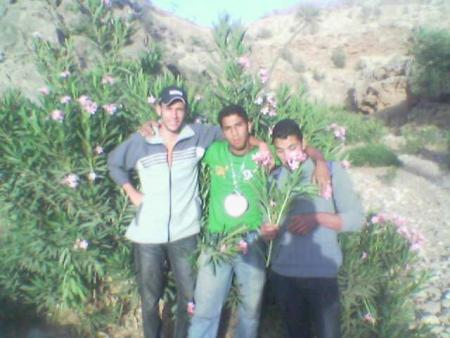 aussi les amis